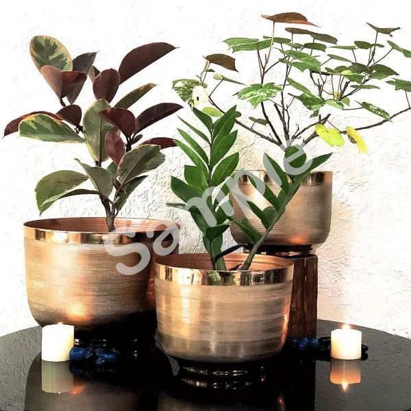 Brass Planters BP001